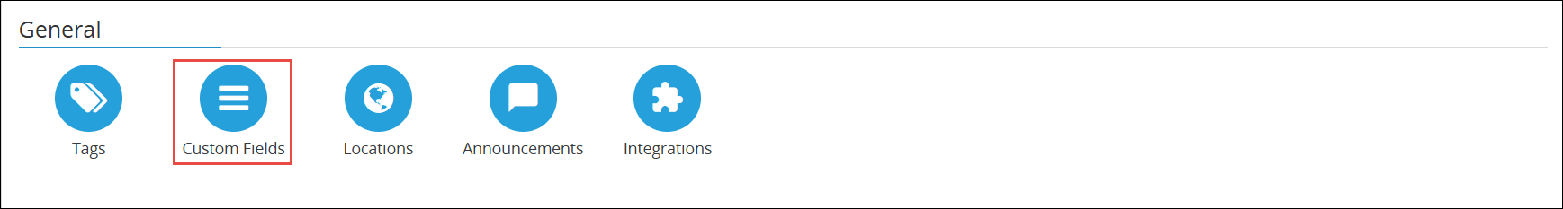 New custom field